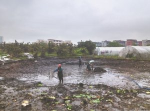 白塔河道鱼塘清淤
